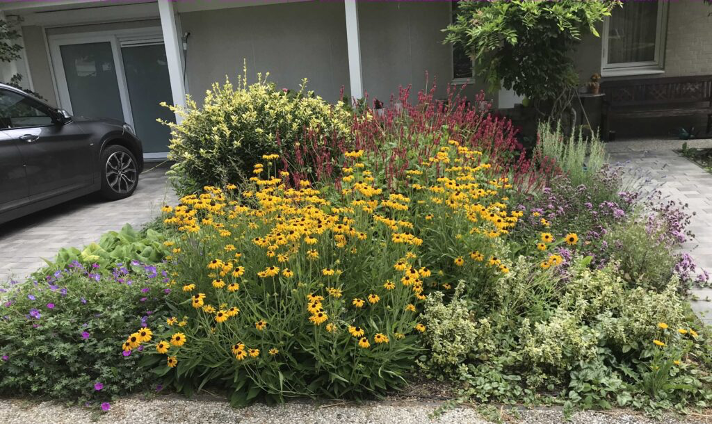 Voortuin on cottage stijl